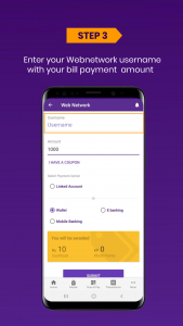 web network payment online