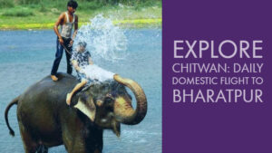 domestic flight bharatpur