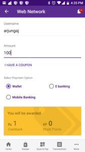 web network payment